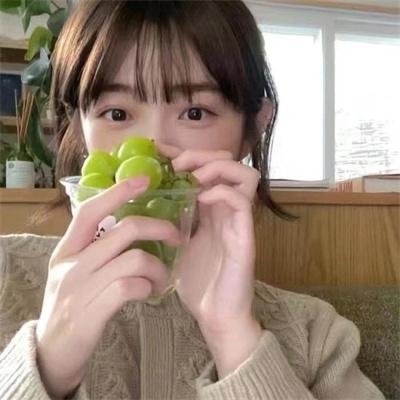 年鉴计划