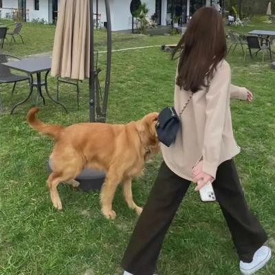 当你约会的时候